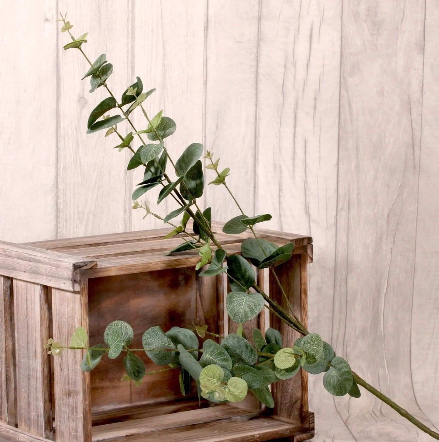 Artificial eucalyptus branch in rustic wooden crate for home décor and gift styling