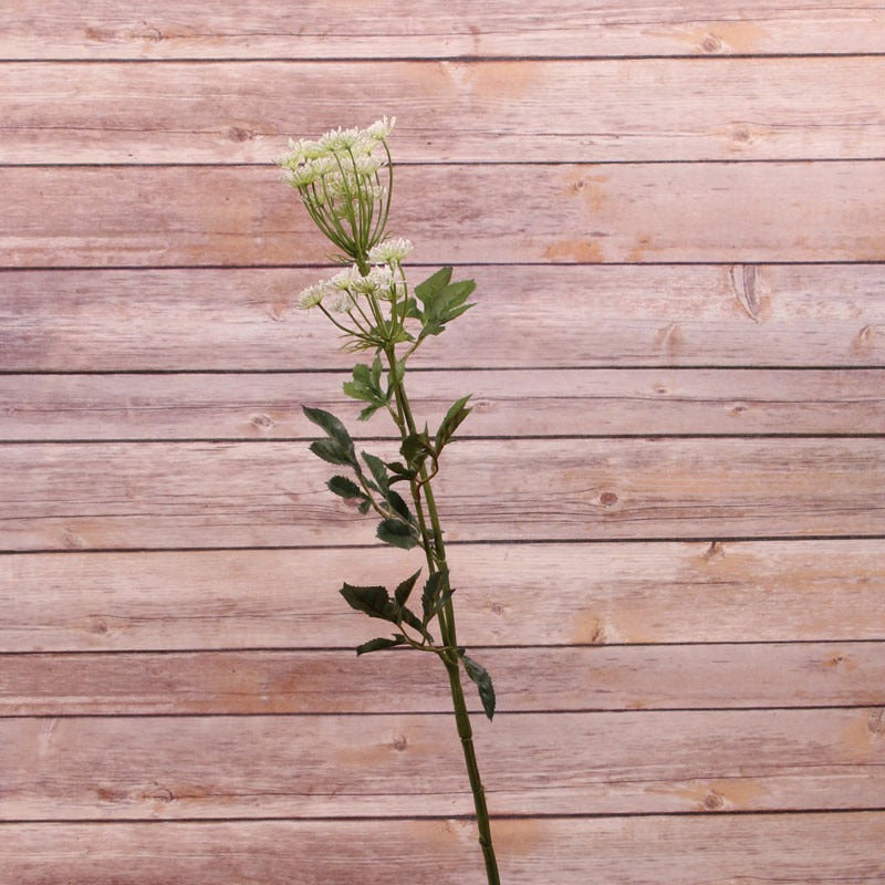 Bishops Flower Spray Cream 76cm