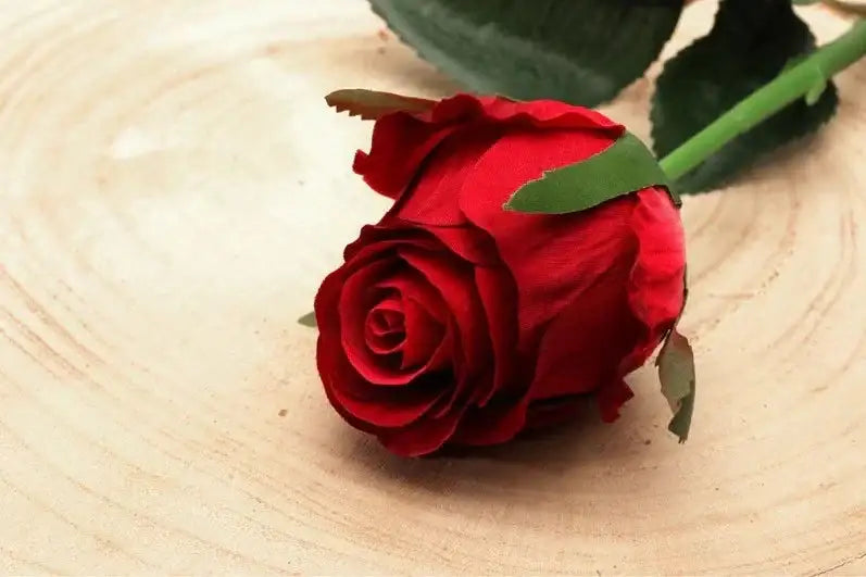 Vibrant red rose with green stem on rustic wood slice, perfect for romantic gifts or home décor