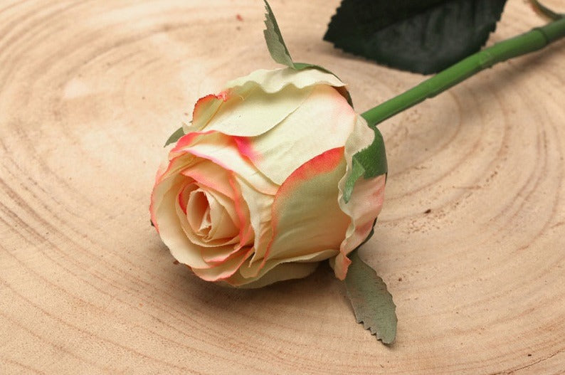 Discover the Small Rose Bud Blush Pink at Bristow Direct
