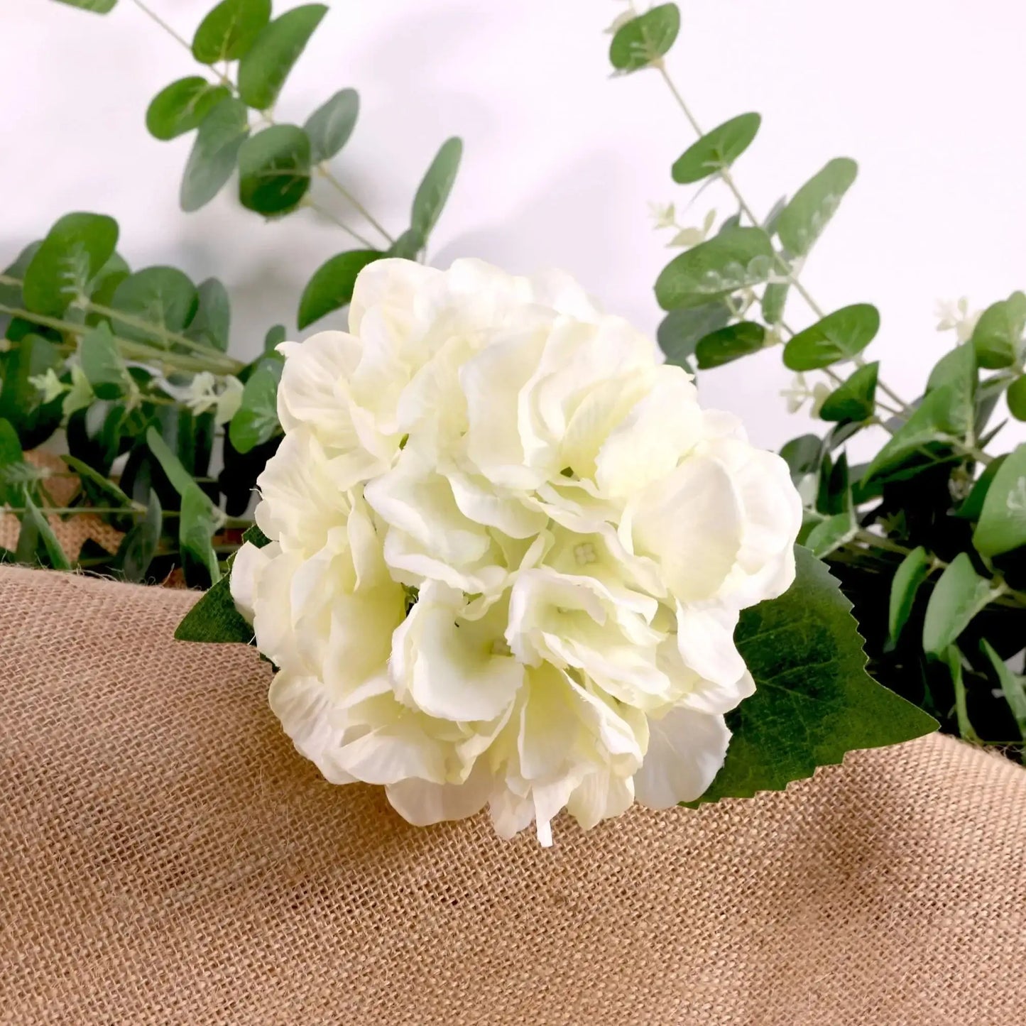 White hydrangea flower with green eucalyptus leaves on burlap, perfect for home décor or gifts