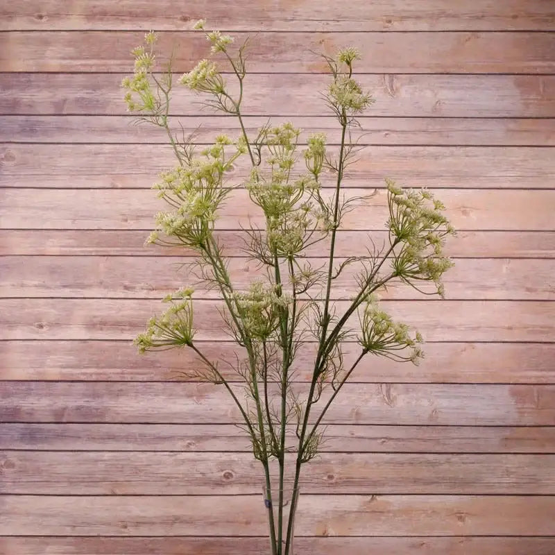 Artificial Queen Anne's lace floral stem with delicate white blooms against wood background