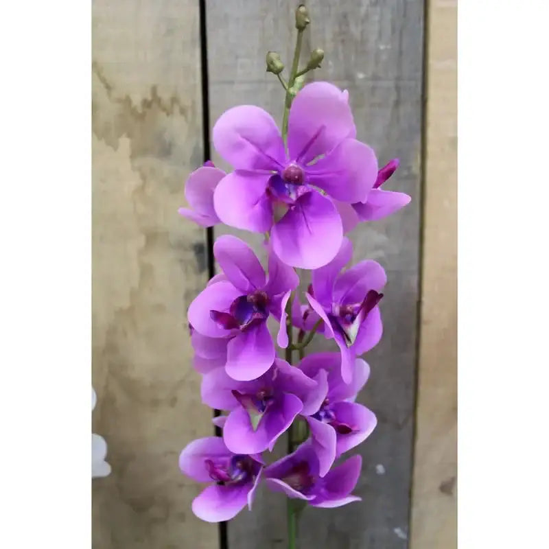 Pink Ascocenda Spray 28.5 Inch