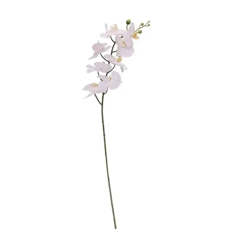 White Phalaenopsis Spray 34.5 Inch