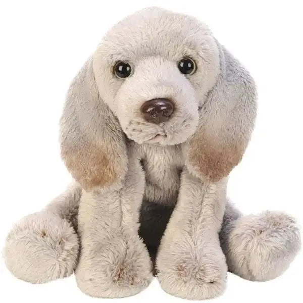 Yomiko Sitting Weimaraner Dog