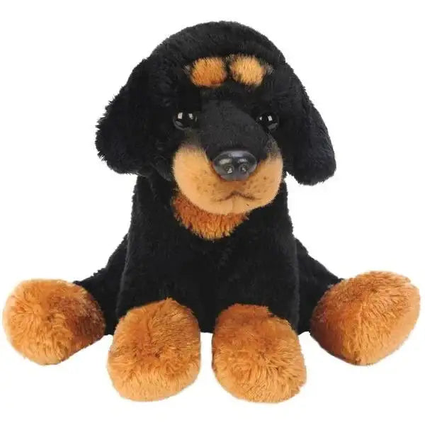 Yomiko Sitting Rottweiler Dog