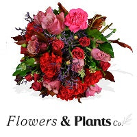 Fresh Flowers