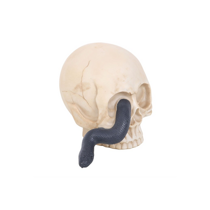 Skull Ornament with Snake