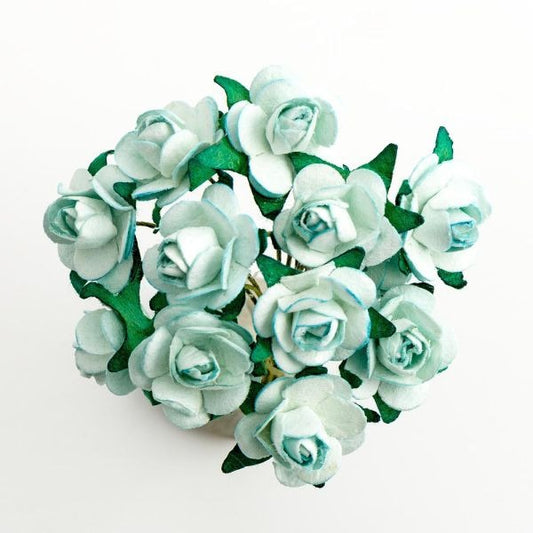 Discover the Paper Tea Rose Pale Blue  (12 Stems) at Bristow Direct