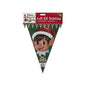 20ft Pe Elf Design 20*30cm     Triangular Bunting With 10 Flags