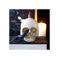 Skull Ornament with Snake
