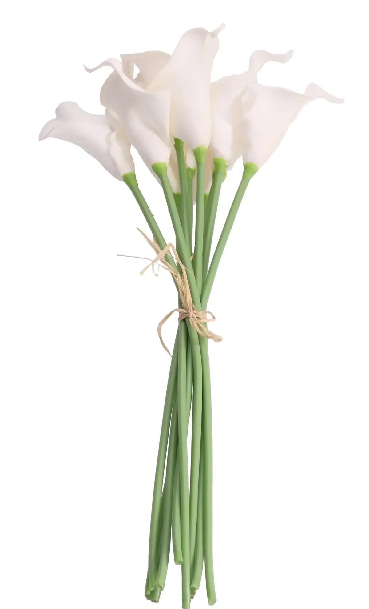 White calla lilies bouquet with green stems tied by twine, ideal for home décor or gifting