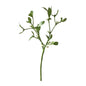 Mistletoe on Short Stem (15 Inch)
