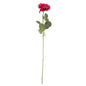 Arundel Open Rose Fuchsia