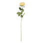 Arundel Open  Rose Yellow