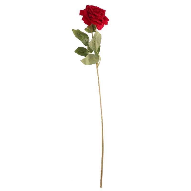 Discover the Red Open Velvet Rose at Bristow Direct