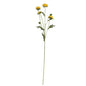 Buckingham Spray Chrysanthemum Yellow