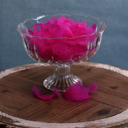 Fuchsia Pink Feathers in Bag (5g)