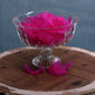 Fuchsia Pink Feathers in Bag (5g)