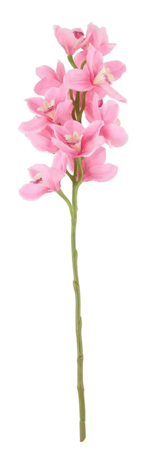 Tintagel Cymbidium Orchid Pink