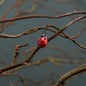Stick on Ladybirds 1cm (x12)