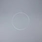 Silver Flower Hoop (30cm)