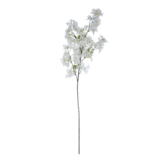 Jasmine Flower Stem