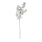Jasmine Flower Stem