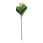 Protea Green Sprays (51cm)