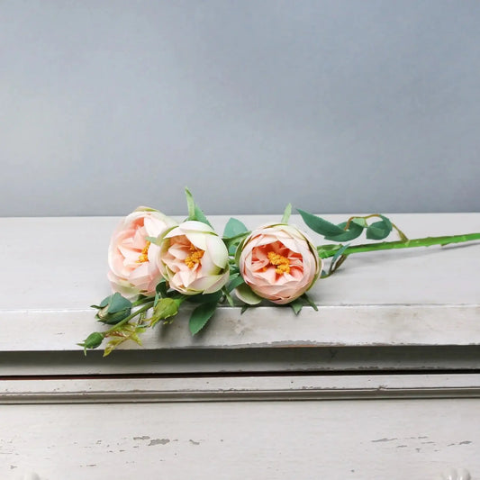 Tintagel Vintage Hedgerow Rose Spray Peach