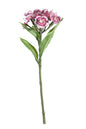 Plum Dianthus on a Short Stem (32cm)