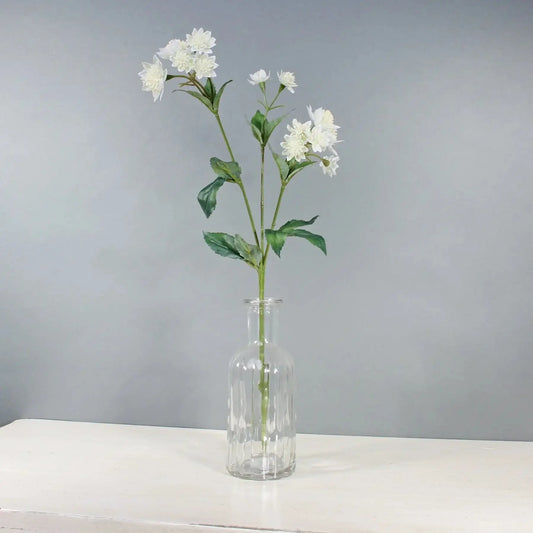 White Astrantia with 14 Flowers (50cm)
