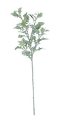 Extra Large Display Dusty Miller (108cm)