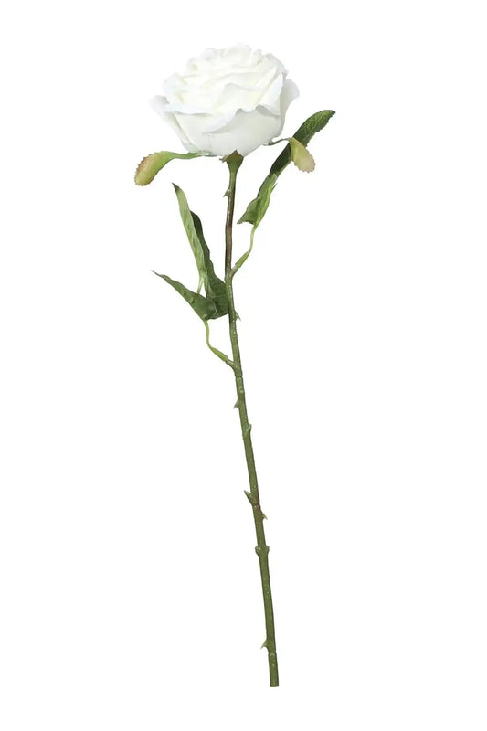 Cream Fantasia Rose (51cm)