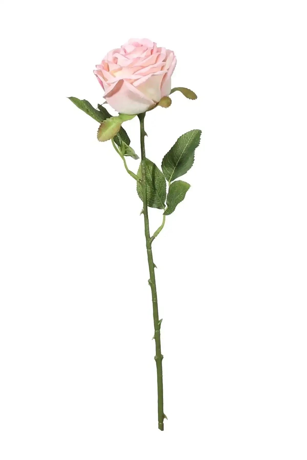 Single long stem artificial pink rose with green leaves on white background