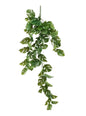 Mini Split Philo Hanging Bush (38Inch)