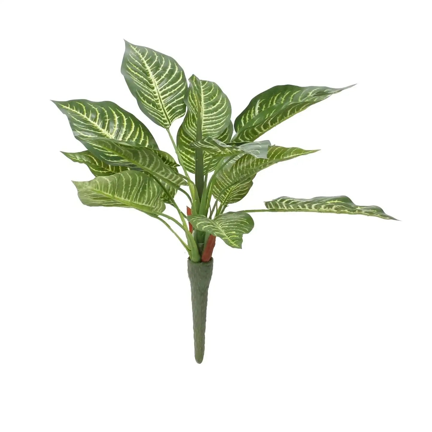 Zebra Bush (15Inch)