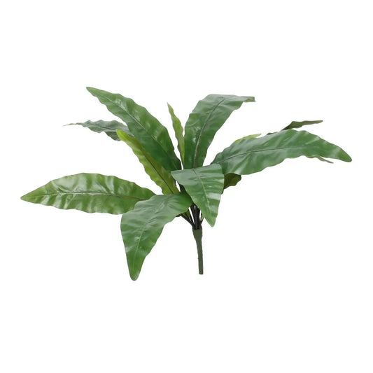 Bird Nest Fern Bush (25Inch)