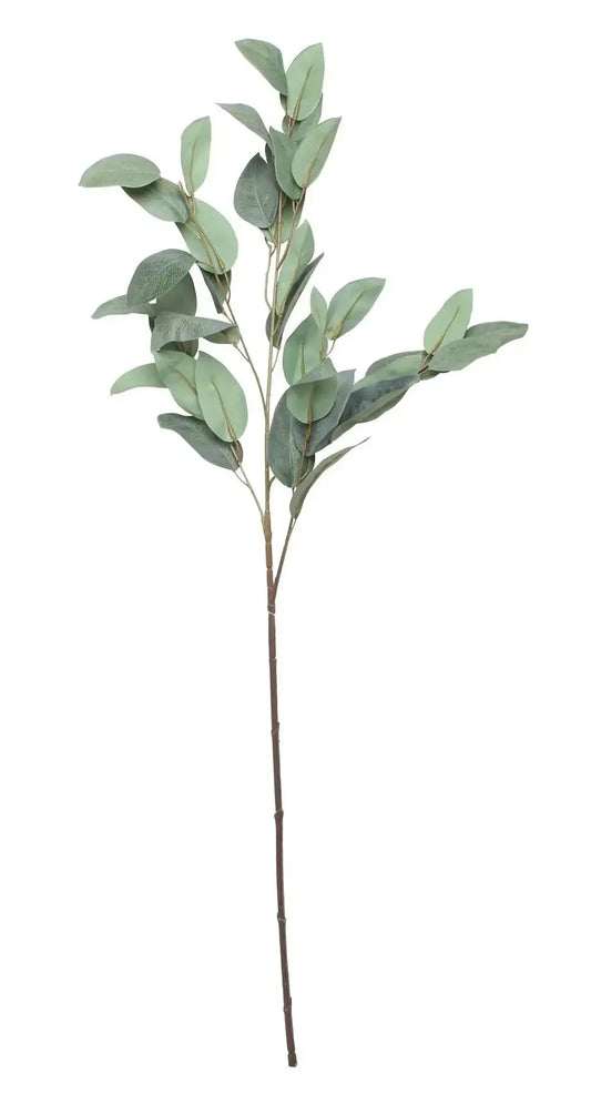 Eucalyptus Spray (36.5Inch)