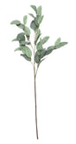 Eucalyptus Spray (36.5inch)
