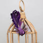 Purple Fantasy Bird with clip