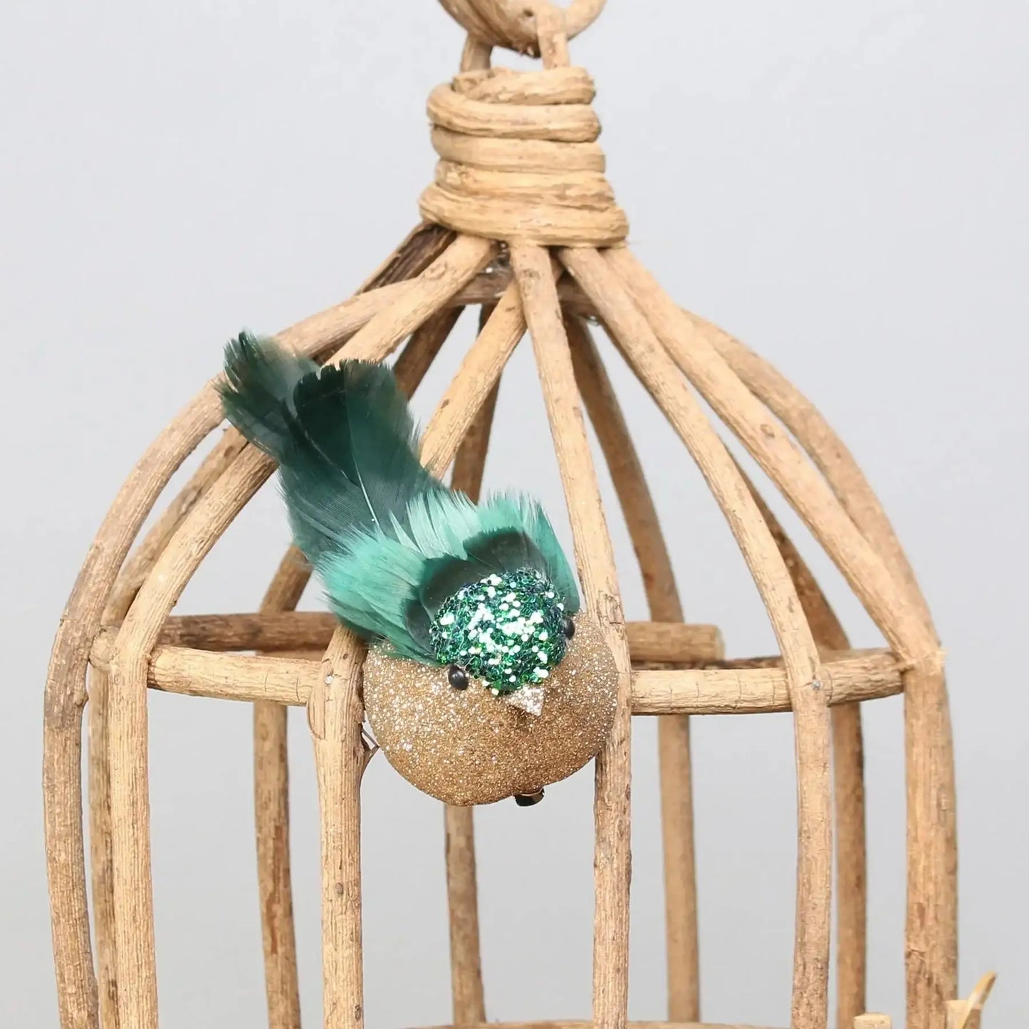 Green Longtail FInch with clip