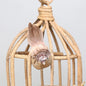 Pink Longtail FInch with clip