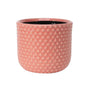 Pink ceramic planter pot with raised dot texture, modern home décor accessory.