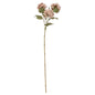 Balmoral Light Pink Viburnum Spray