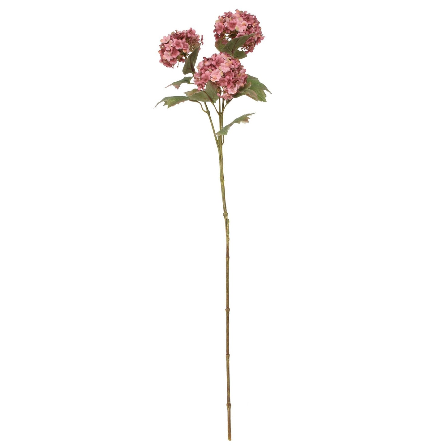 Balmoral Dark Pink Viburnum Spray