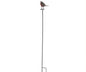 Robin On Stick