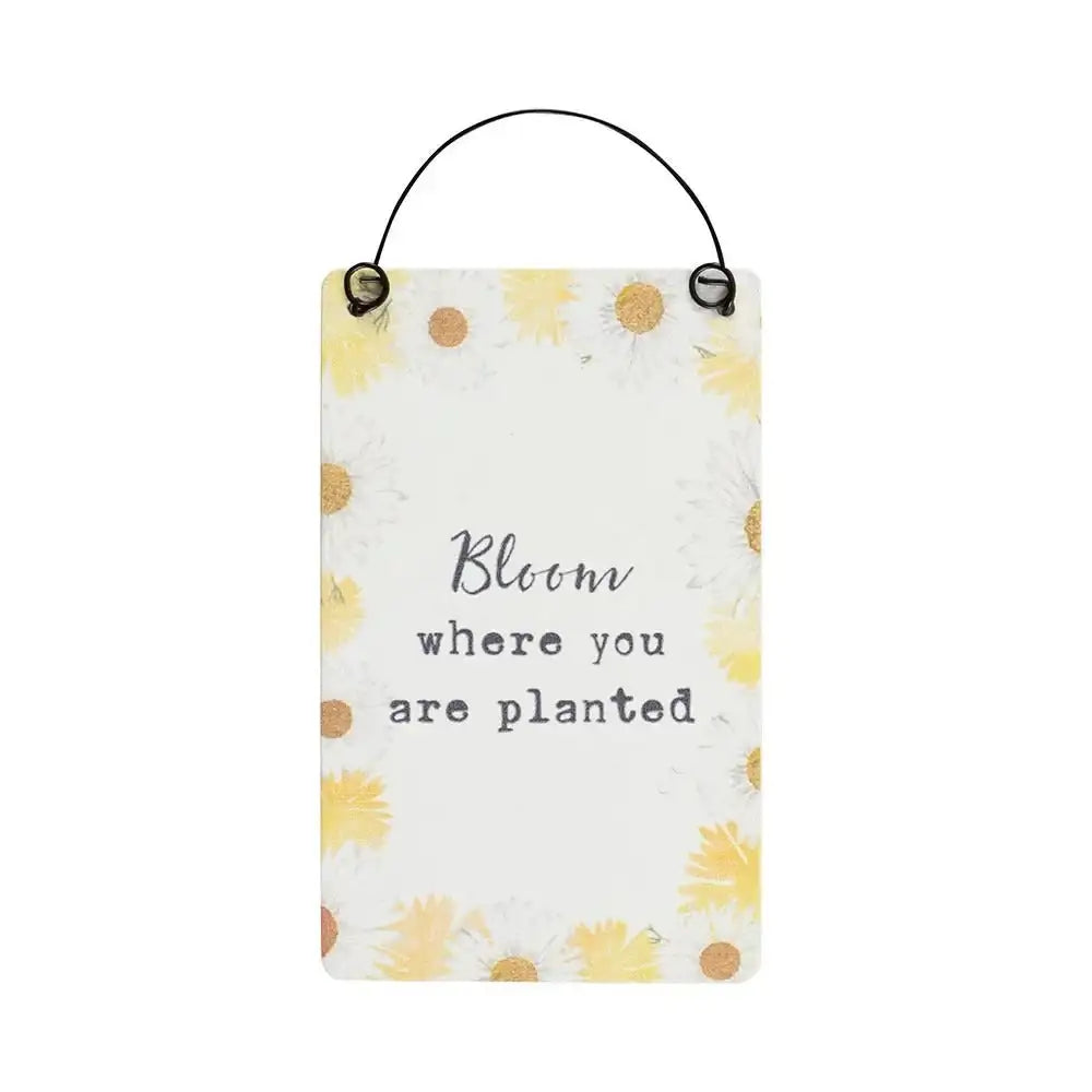 Floral wall plaque with daisies and motivational quote, Bloom where you are planted.