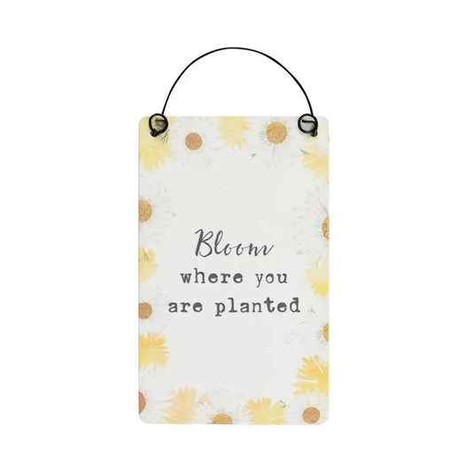 Floral wall plaque with daisies and motivational quote, Bloom where you are planted.