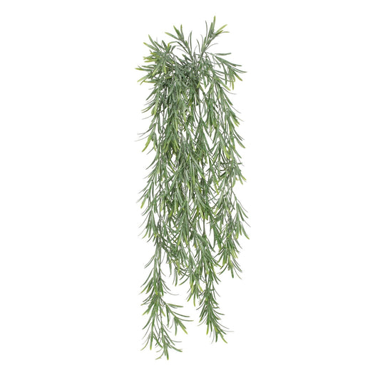 Discover the UV Exterior Everlast Trailing Rosemary Plant (76cm) at Bristow Direct